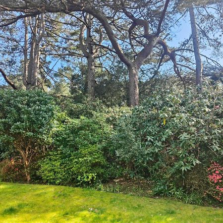 Peaceful Getaway In Forested Park Bournemouth Exteriér fotografie