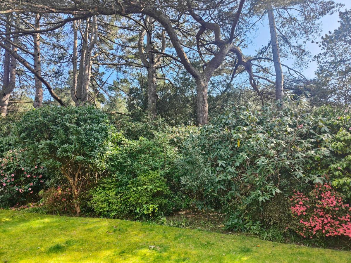 Peaceful Getaway In Forested Park Bournemouth Exteriér fotografie