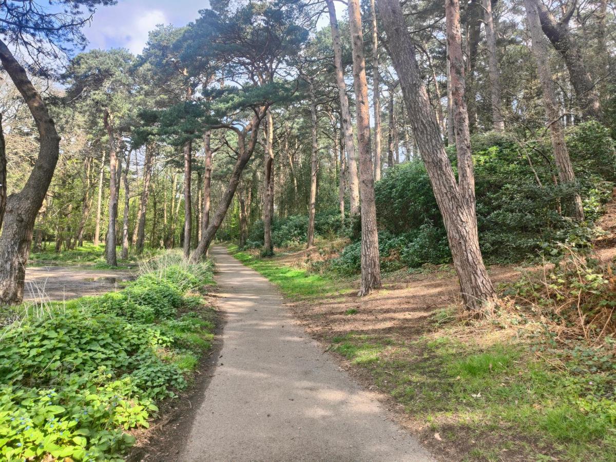 Peaceful Getaway In Forested Park Bournemouth Exteriér fotografie